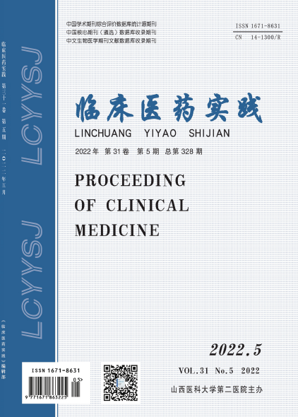 临床医药实践